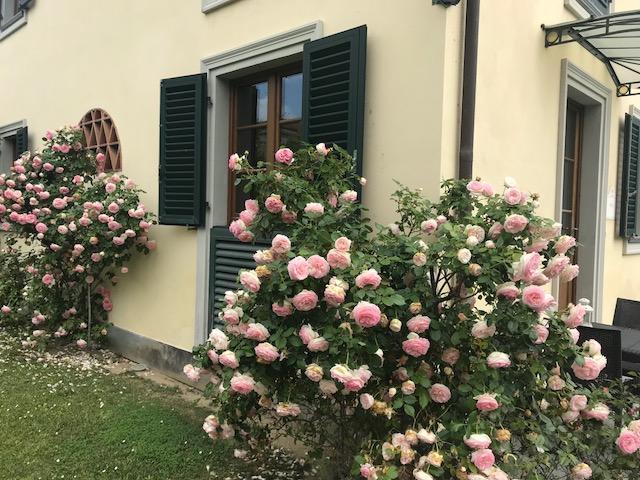 Residence Prunali Massarosa Luaran gambar